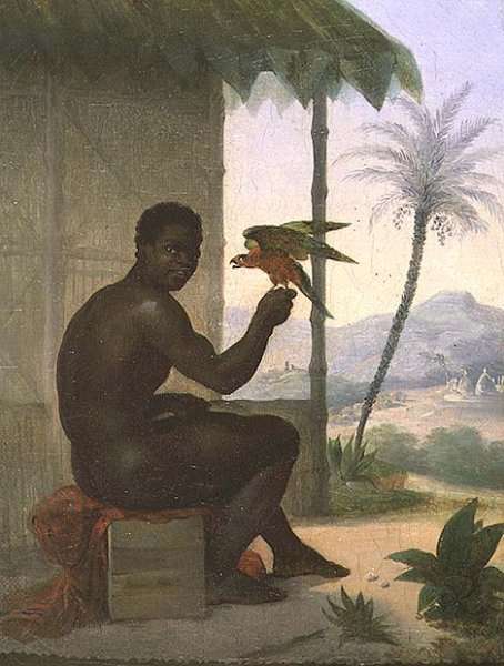 Brazilian negro with Tropical Bird by Romanticism