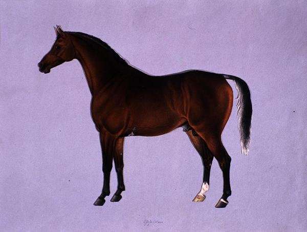 Oppidan, c.1840 by Romanticism