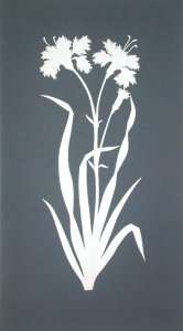 Carnation by Romanticism