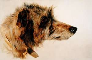 Head of a Dog by Romanticism