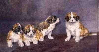 Puppies in Council by Romanticism