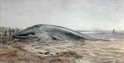 The Aberlady Whale, Longriddy Bay by Romanticism