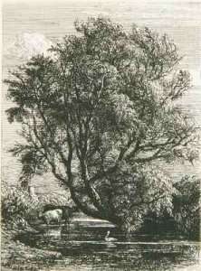 The Willow by Romanticism