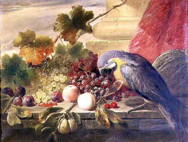 Still life of fruit and a parrot, 1855 by Romanticism