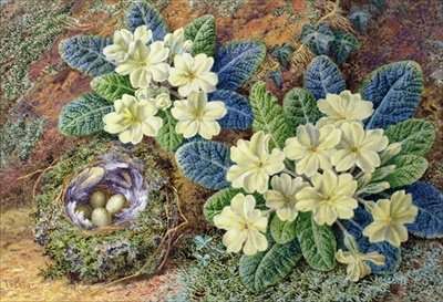 Primroses and a birds nest by Romanticism