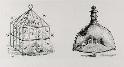 Wasp and fly traps from Thomas Mawsons The Art and Craft of Garden Making by Romanticism