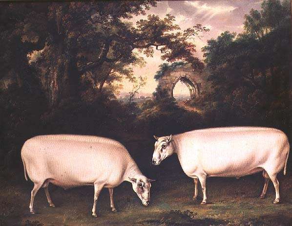 Two Prize Border Leicester Rams in a Landscape, 1800 by Romanticism