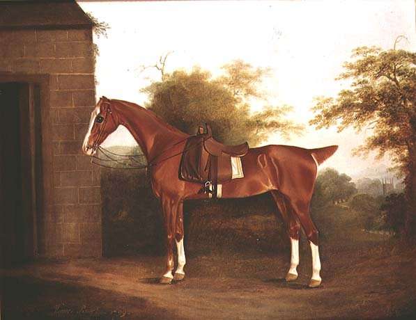 Horse with side saddle by Romanticism