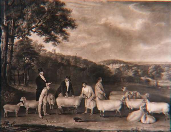 Portrait of Thomas William Coke, Esq. (1752-1842) inspecting some of his South Down sheep with Mr Walton and the Holkham shepherds, engraved by William Ward (1766-1826), 1808 by Romanticism