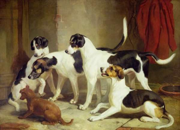 Portrait of Favorite Foxhounds by Romanticism