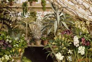 The Conservatory by Romanticism