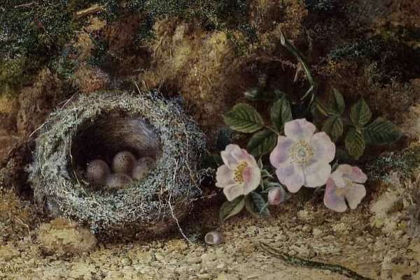 Bird nest and briar roses by Romanticism