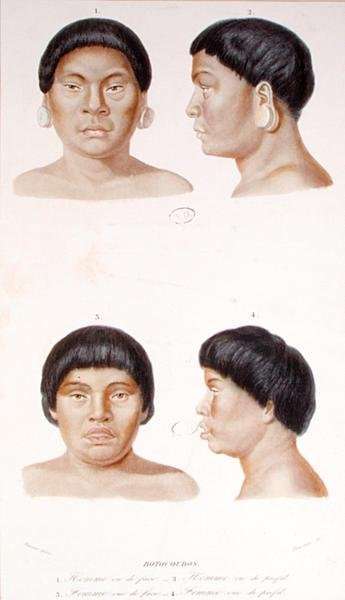Anthropometric study of two Botocudos indians, engraved by Fournier, mid 19th century by Romanticism
