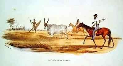 Driving in an Eland by Romanticism
