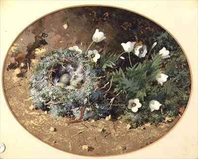 Birds Nest with White Harebells by Romanticism