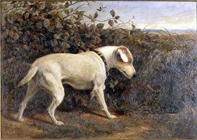 Terrier in a Landscape by Romanticism