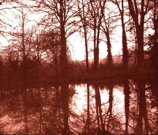 Reflections, 1843 by Romanticism