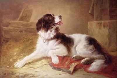 Portrait of a Spaniel by Romanticism