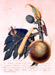 The Tiger and the Boa Constrictor, 1835