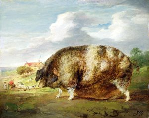 A Grey Arabian Stallion, the Property of Sir Watkin Williams-Wynn, c.1815-20