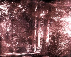 Reverend Calvert Jones seated in the Cloisters, Laycock Abbey, c.1847
