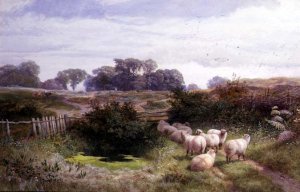 A Shepherd Boy and Flock of Sheep