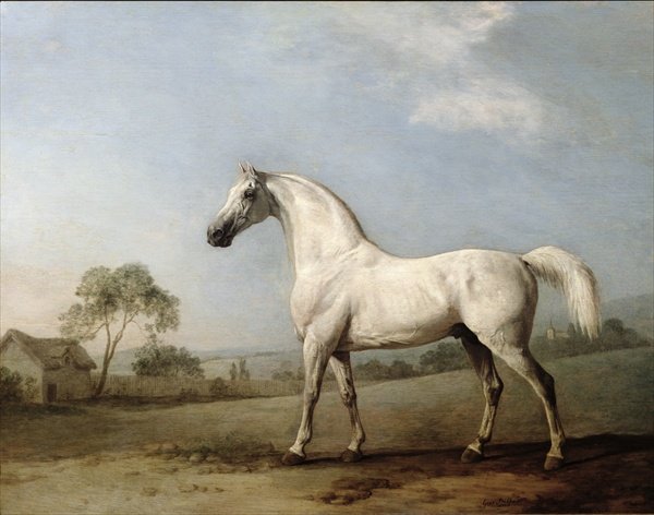 Mambrino, 1779