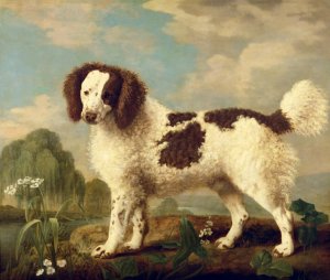 A Liver and White King Charles Spaniel in a Wooded Landscape, 1776