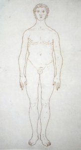 raved by James BasPlate of the Nyl-ghan, engire 1730-1802