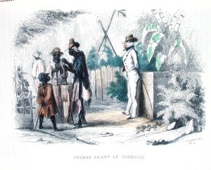 Rue de Cayenne, French Guyana, illustration from Les Francais par Eux-memes, ed. L.Curmer, 1841