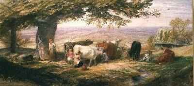 Milking in the Fields