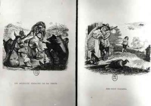 The Orange Blossom from Les Fleurs Animees