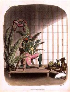 A Naigue of the Bombay Battalion