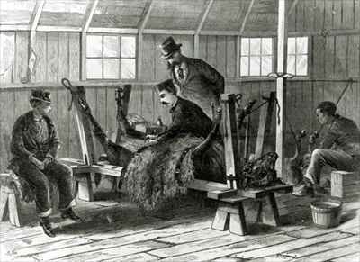 Taking virus from the calf