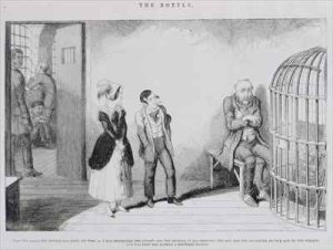 The Bottle Plate VIII