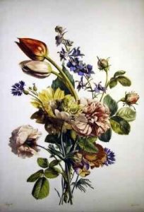 Peaches and Hollyhocks