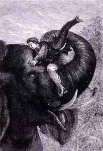 The Guards of the Rajahs, Lit by the Torches