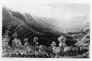 Boats in a Swell Amongst Ice