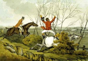 Plunging Through the Hedge