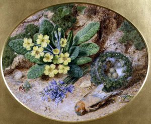 Still Life With Birds Nest