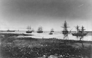 Crimean war French squadron entry into the port